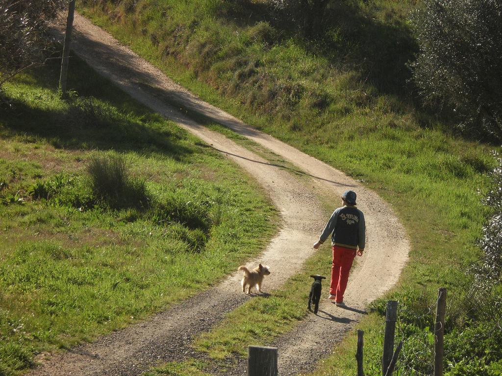 ホテルMonte Da Courela Malarranha エクステリア 写真